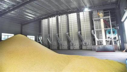 糧食烘干機 農業機械行業的下一個萬億級藍海