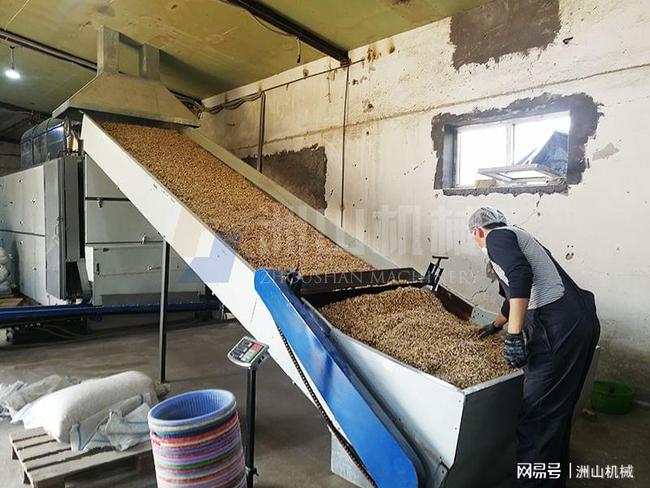 從加工端入手，破解糧食浪費難題——烘干機與農產品的精細化革命